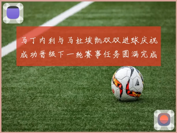 马丁内利与马杜埃凯双双进球庆祝成功晋级下一轮赛事任务圆满完成